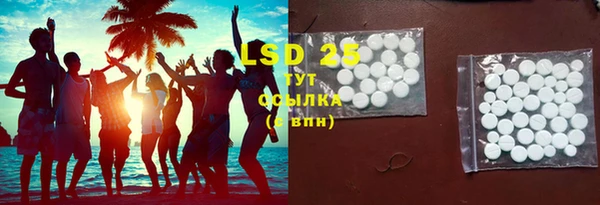 прущие грибы Богданович