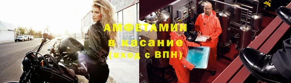прущие грибы Богданович