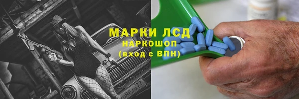 гидра Арсеньев