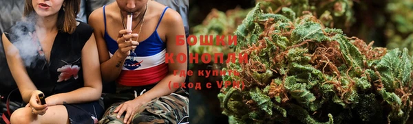 сатива Богородск