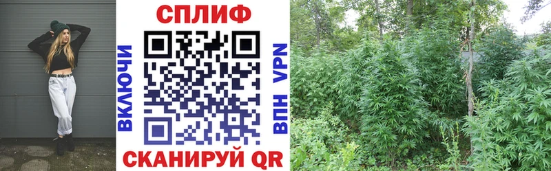 Бошки марихуана LSD WEED  Уварово 